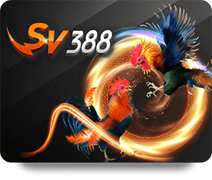 SBOTOP Sòng Bạc Vàng: Mẹo Để Thắng Lớn Trong Game Bài